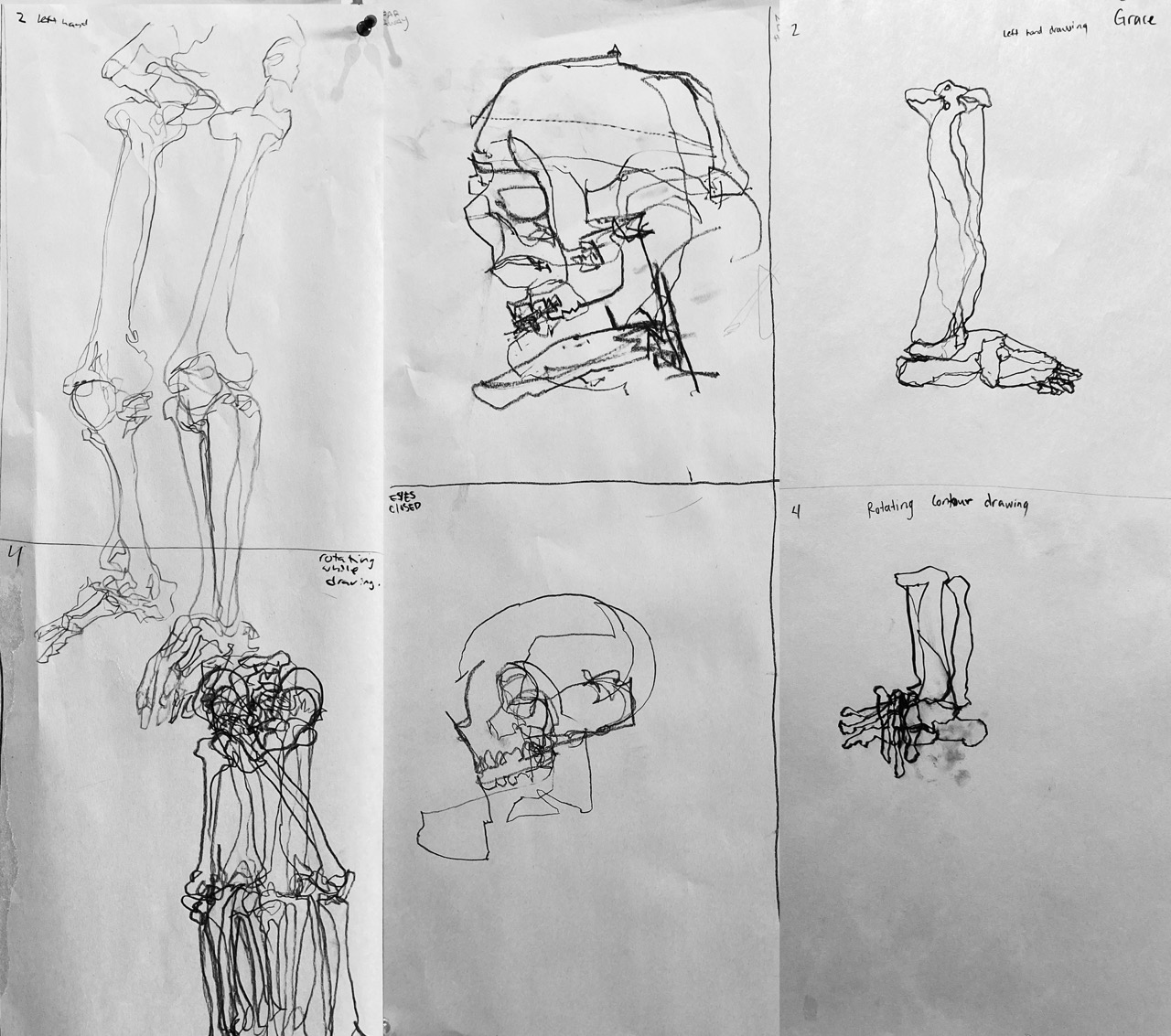 Recent Student Contour Drawings