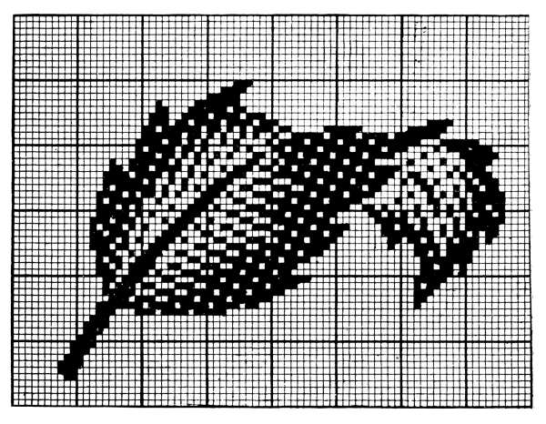 Past Pixels: Woven Coverlets