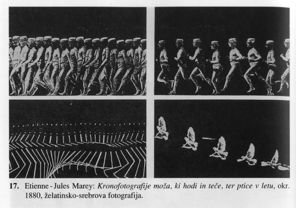 Muybridge & Marey: Motion Tracking
