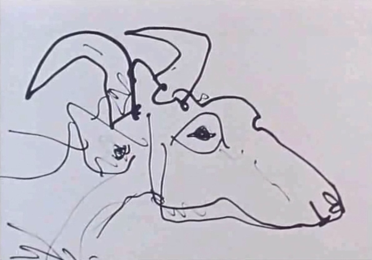 Film still from Le Mystère Picasso showing an in-progress ink line drawing of a goat's head, visible through the transparent drawing surface